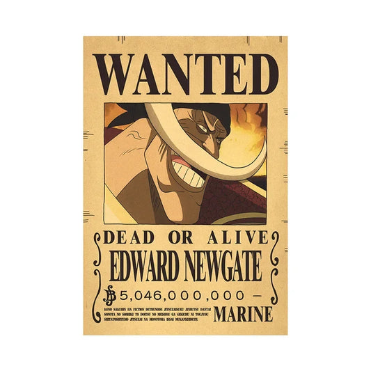 One Piece Kopfgeld Poster